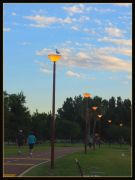 In the park2