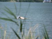 IMG 7088