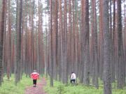 ����������� 180