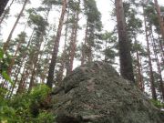 ����������� 166