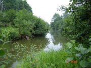 ������ �� �������!