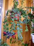 ����������