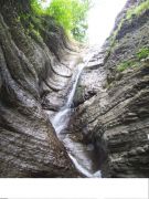 ���� �������