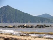 ���� ������