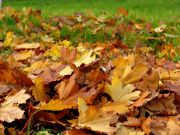 ����� �����...