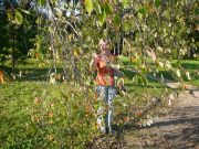 ������� �����