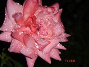 ������-2