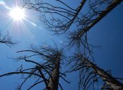 �������� �������...