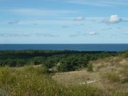 куршская коса