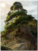 ���� � �����