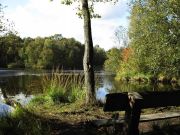 ����� �������