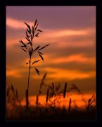 ~ ����� ����� �������� �������� ~