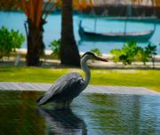 ��������...