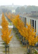 ����� ��������