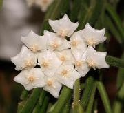 ���� ��������