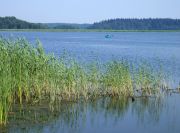 DSCF0987
