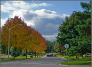 �������� ���������