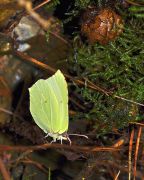 ��������������