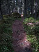 IMG 0719-