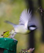 ������-������� � ��������