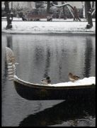 ������ �����. ���� �������.