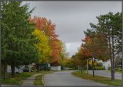 ��������� ����