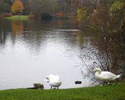 �������� ���������