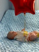 ��� �����