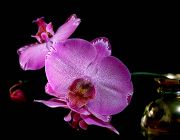 ���������� ����.