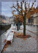 ����� ����