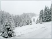 ���������� �������