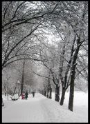 �� ������ ������