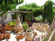 �� ���� �������� ������