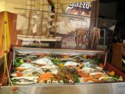 ���� ��������� ����