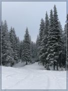 ������ �� ���������