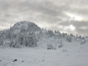 ����� � �����