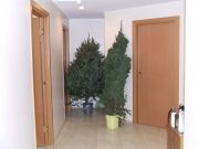 NY green trees from Canada