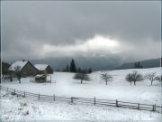 ���� ��������