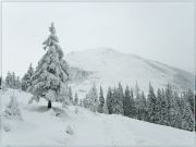 �. ������