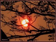 Smoky sun
