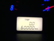 241
