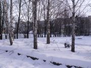 DSCF0772