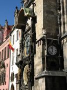 IMG 4239