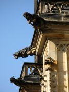 IMG 4278