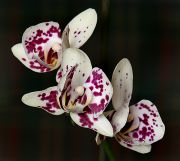 ���������� ����. ����� ������