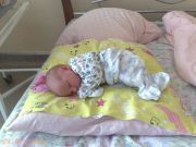 29072009177  resize