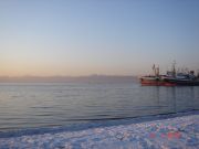 ���������� ����� ������� 06.01.2010