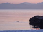 ����� ������� � ����