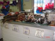 ������ ����� �������������-�����������