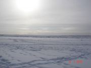 ���� 08.01.2010